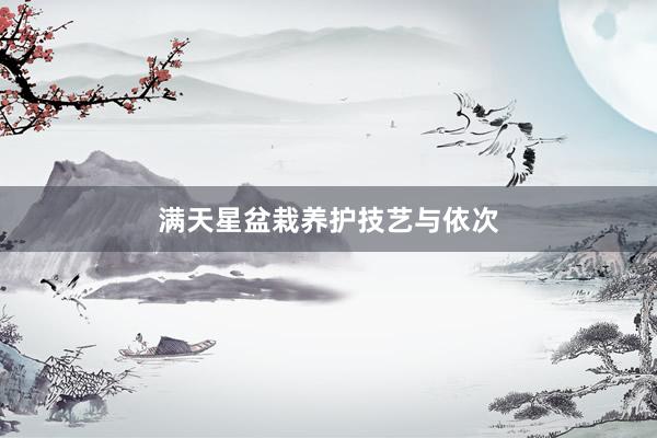 满天星盆栽养护技艺与依次