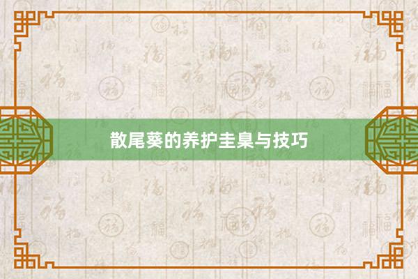 散尾葵的养护圭臬与技巧