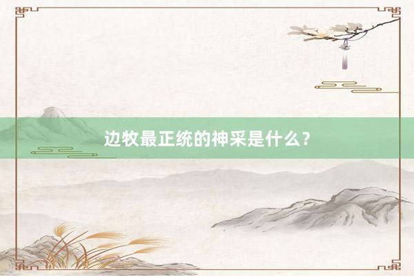 边牧最正统的神采是什么？