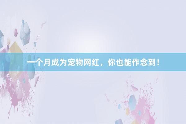 一个月成为宠物网红，你也能作念到！