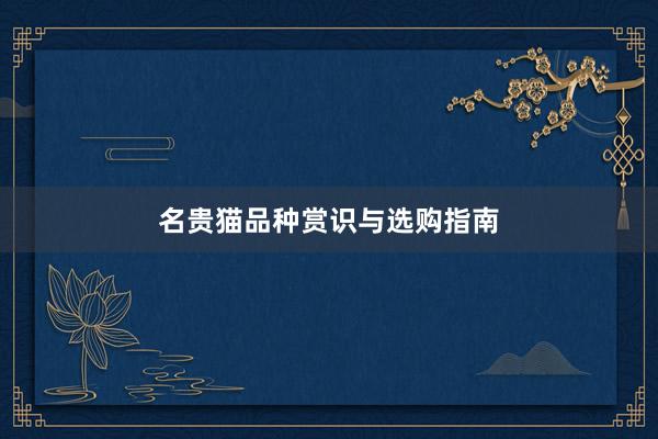 名贵猫品种赏识与选购指南