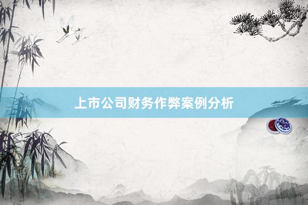上市公司财务作弊案例分析