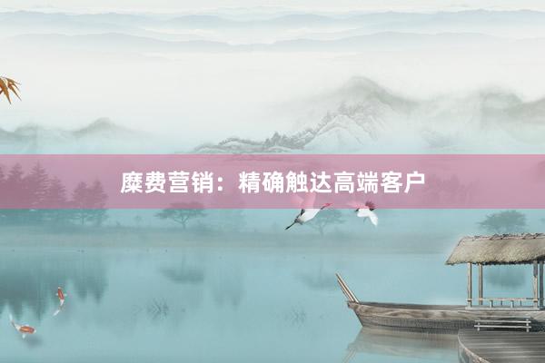 糜费营销：精确触达高端客户