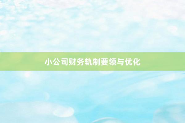 小公司财务轨制要领与优化